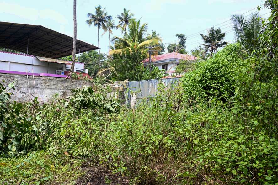 Property Photos 8