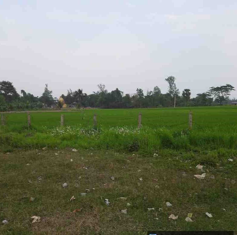 Property Photos 5