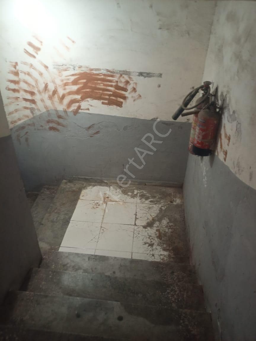 Property Photos 8