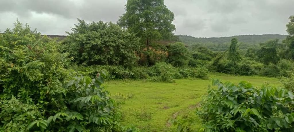 Property Photos 28