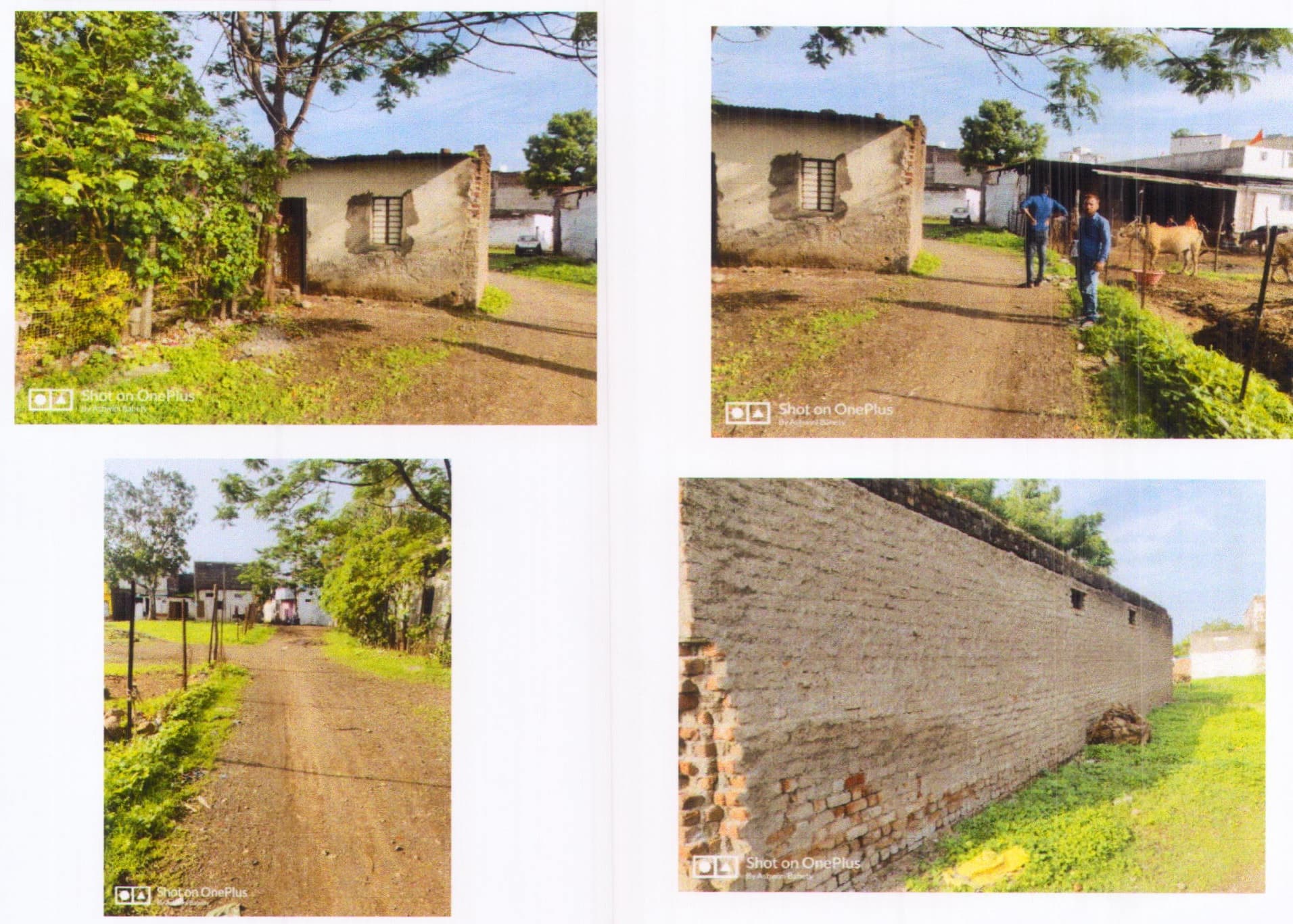Property Photos 7