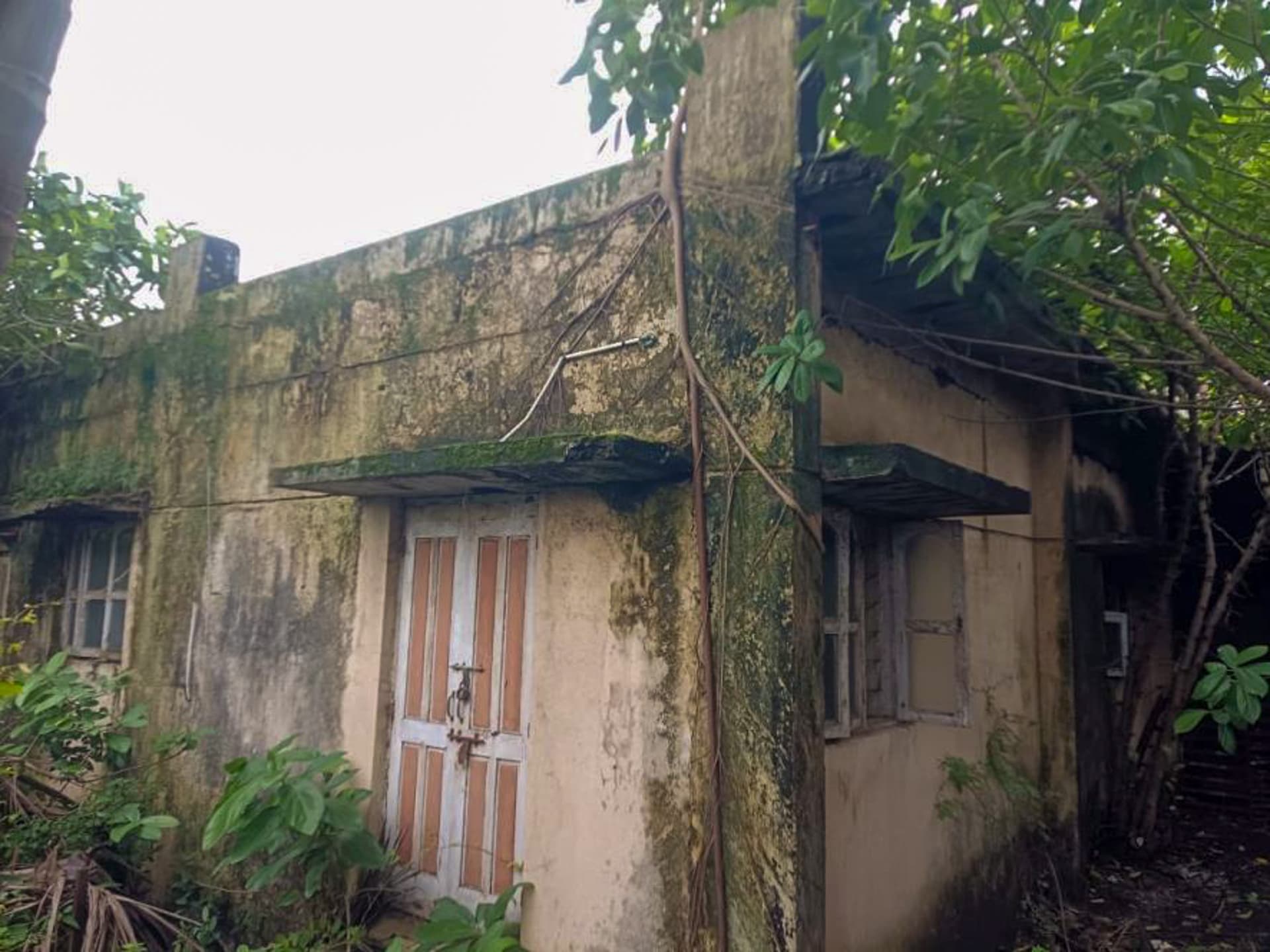 Property Photos 6