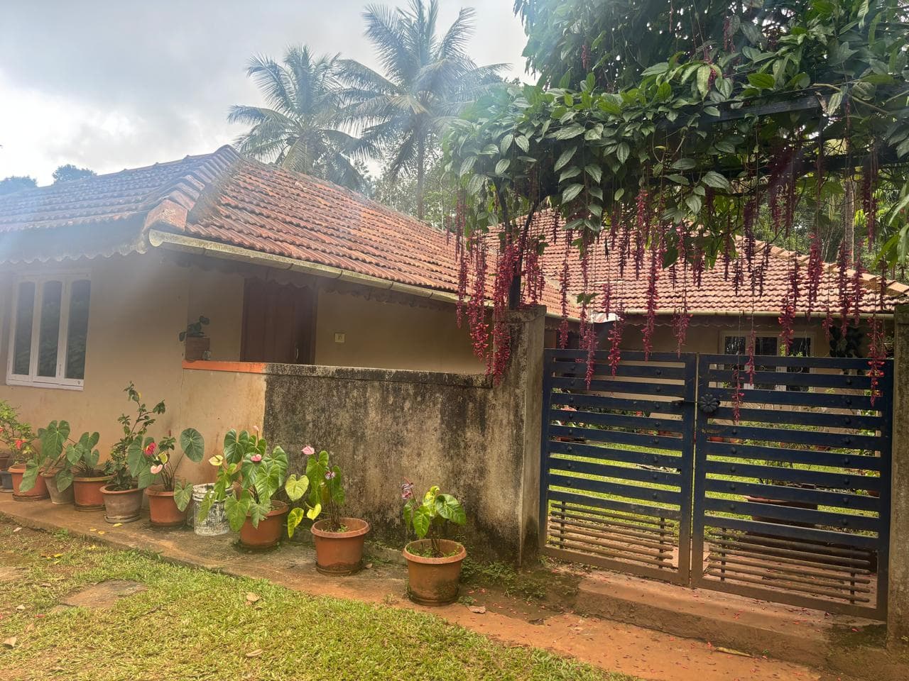 Property Photos 3