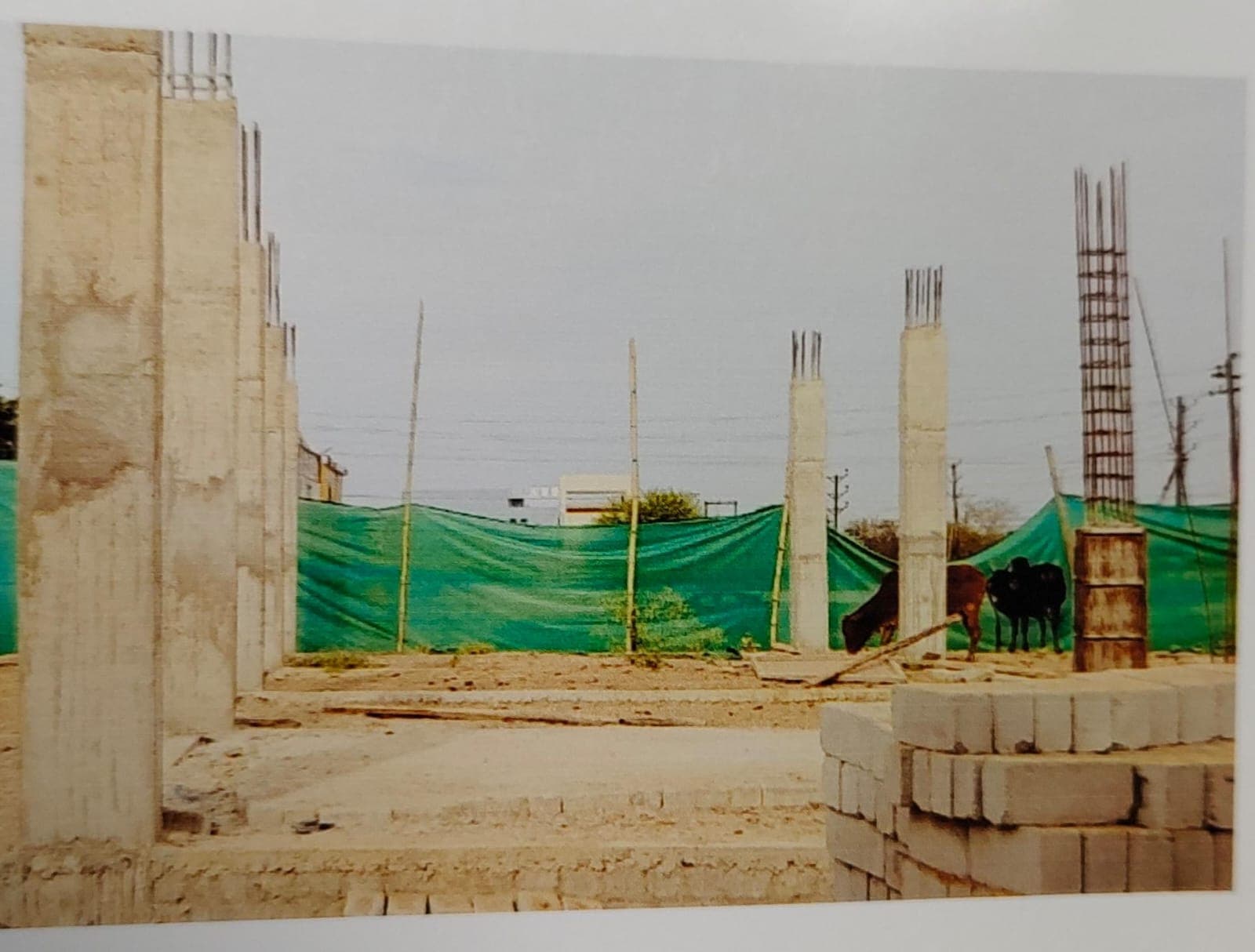 Property Photos 2
