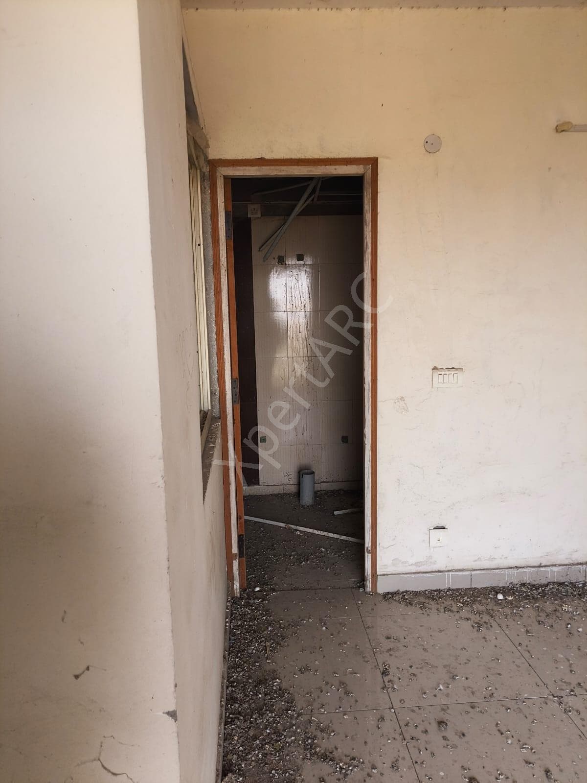 Property Photos 11