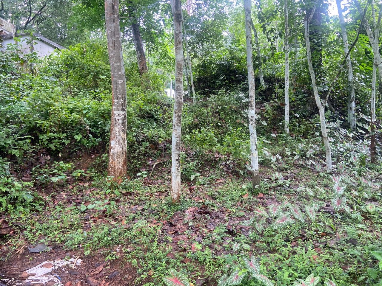 Property Photos 2