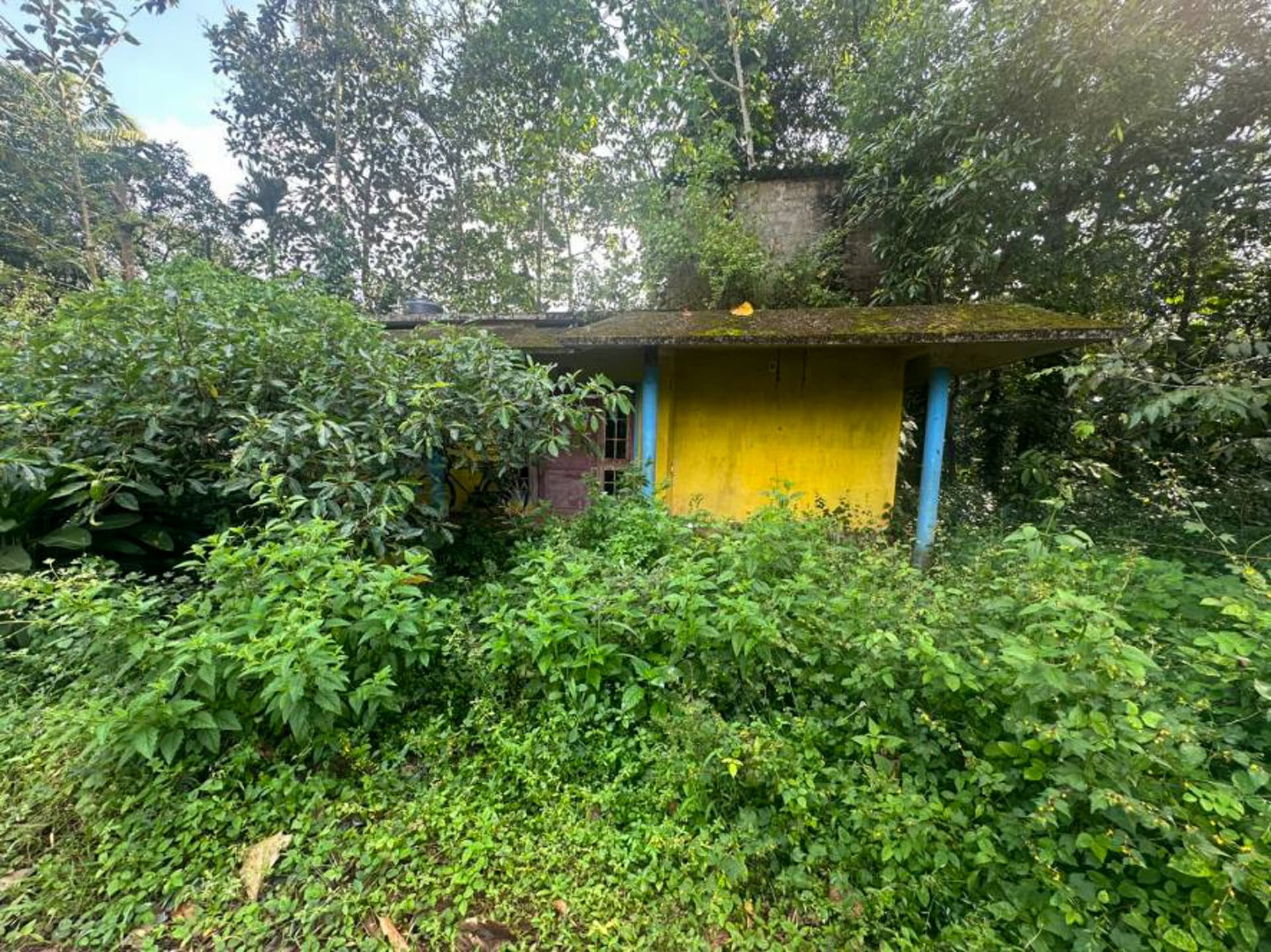 Property Photos 8