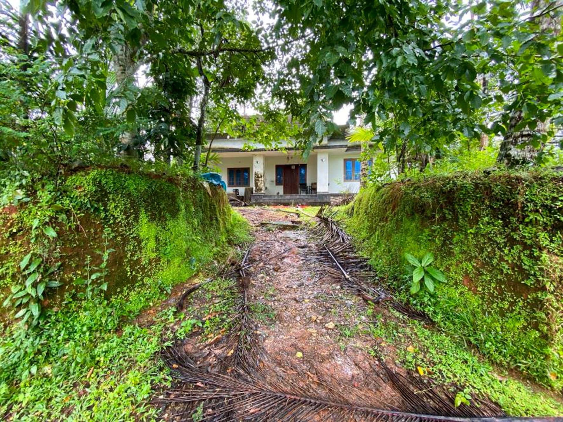 Property Photos 3