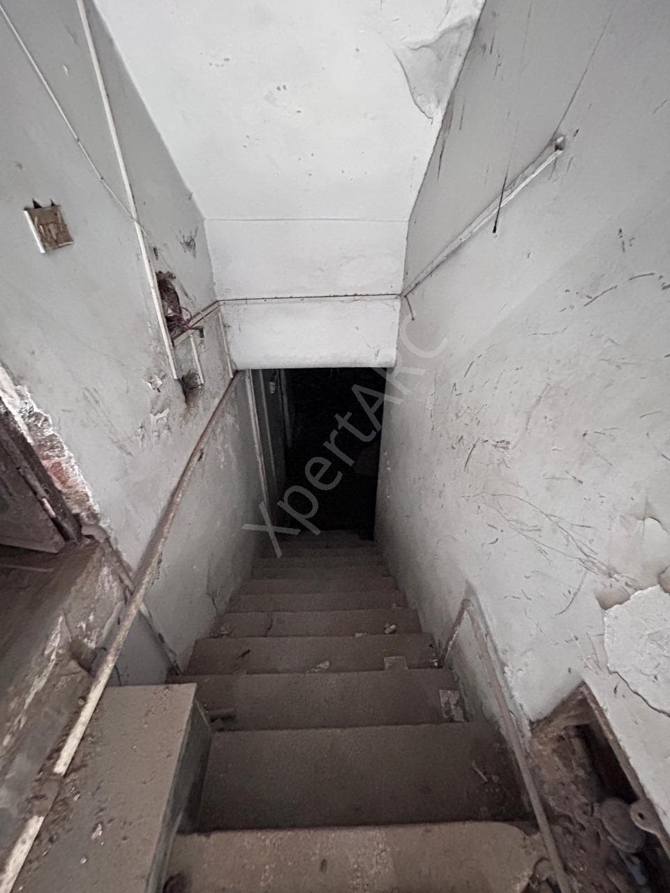Property Photos 11