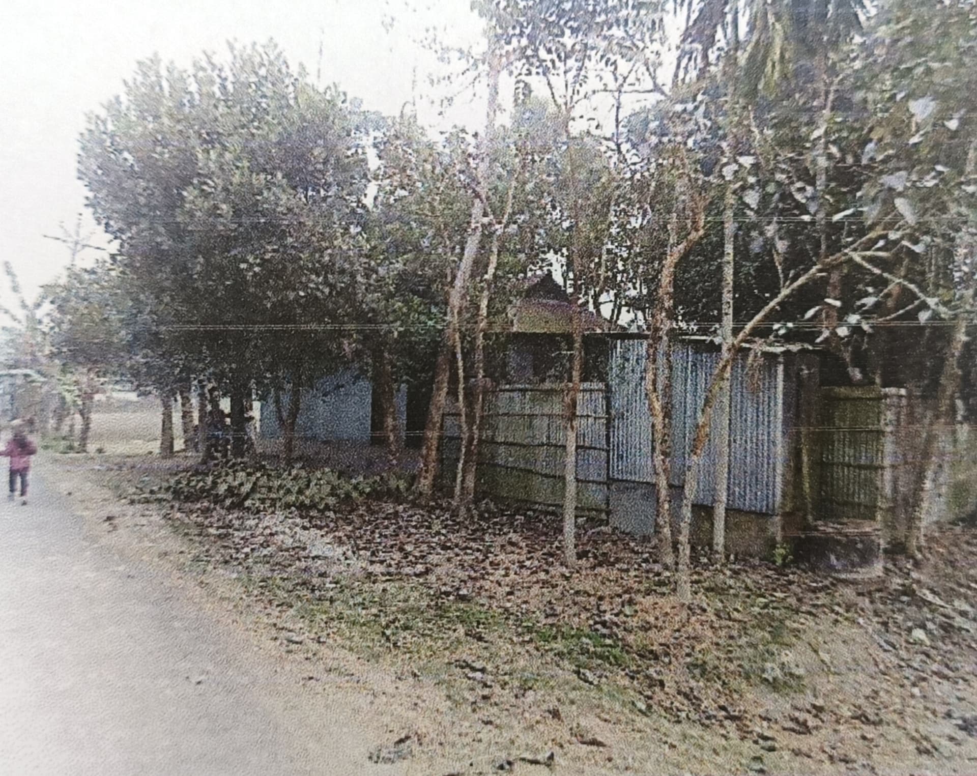 Property Photos 4
