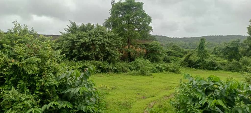Property Photos 30