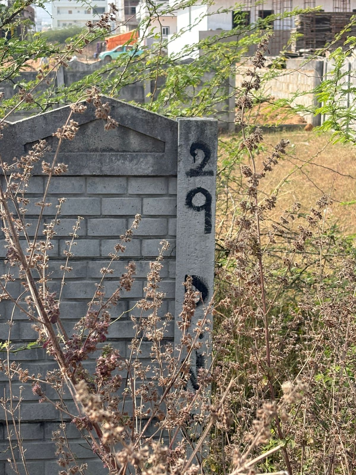 Property Photos 2