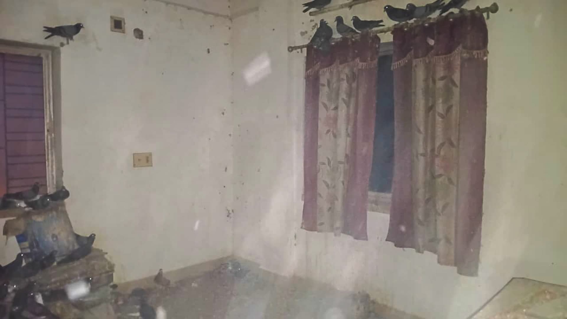 Property Photos 2
