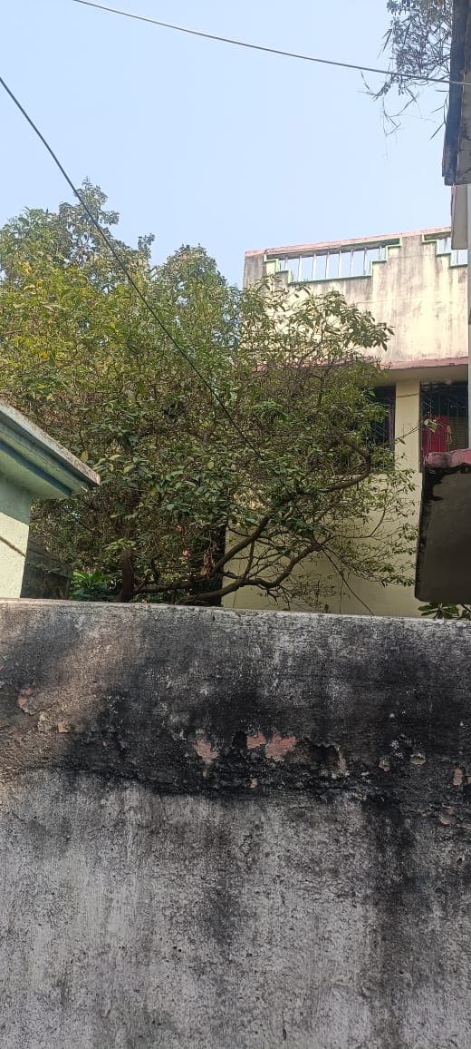 Property Photos 2