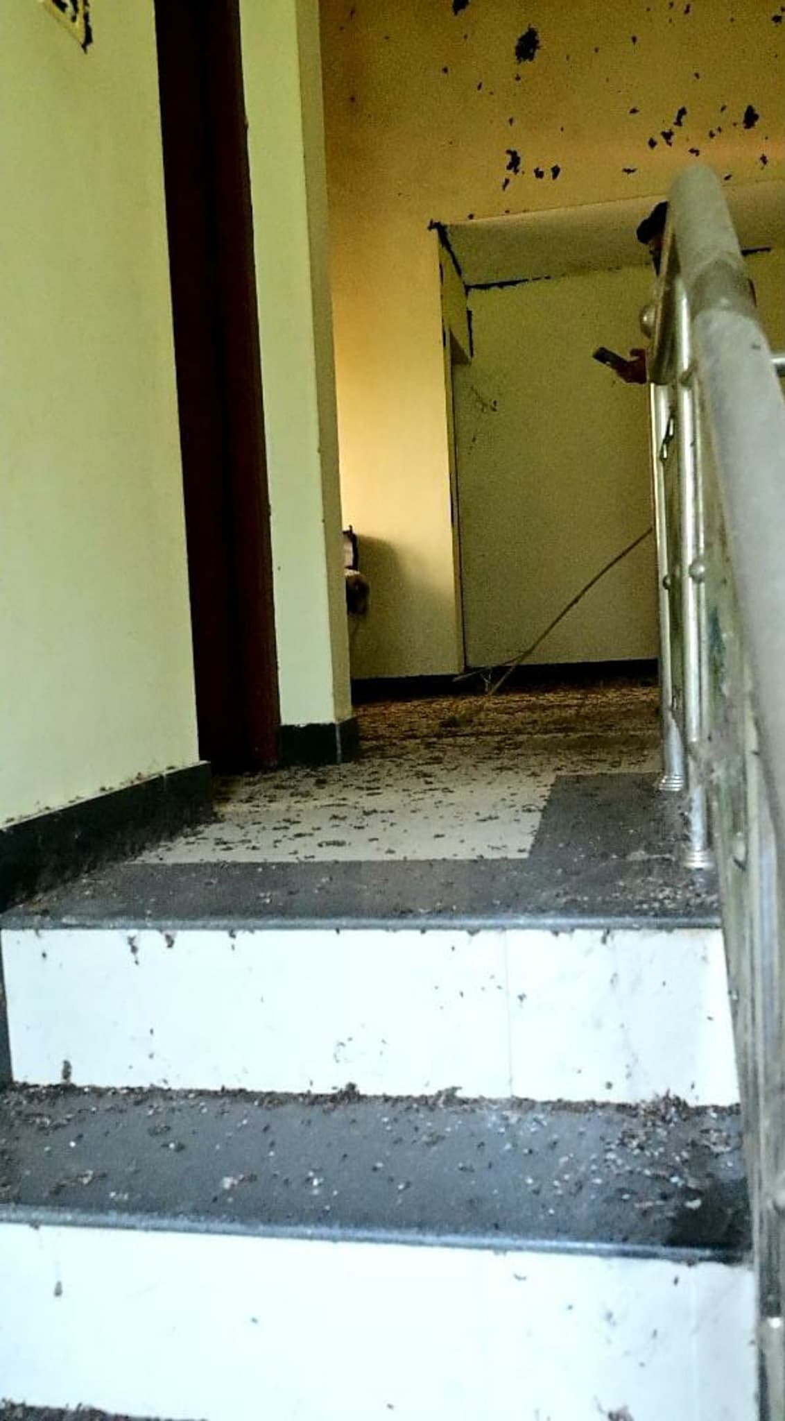 Property Photos 8