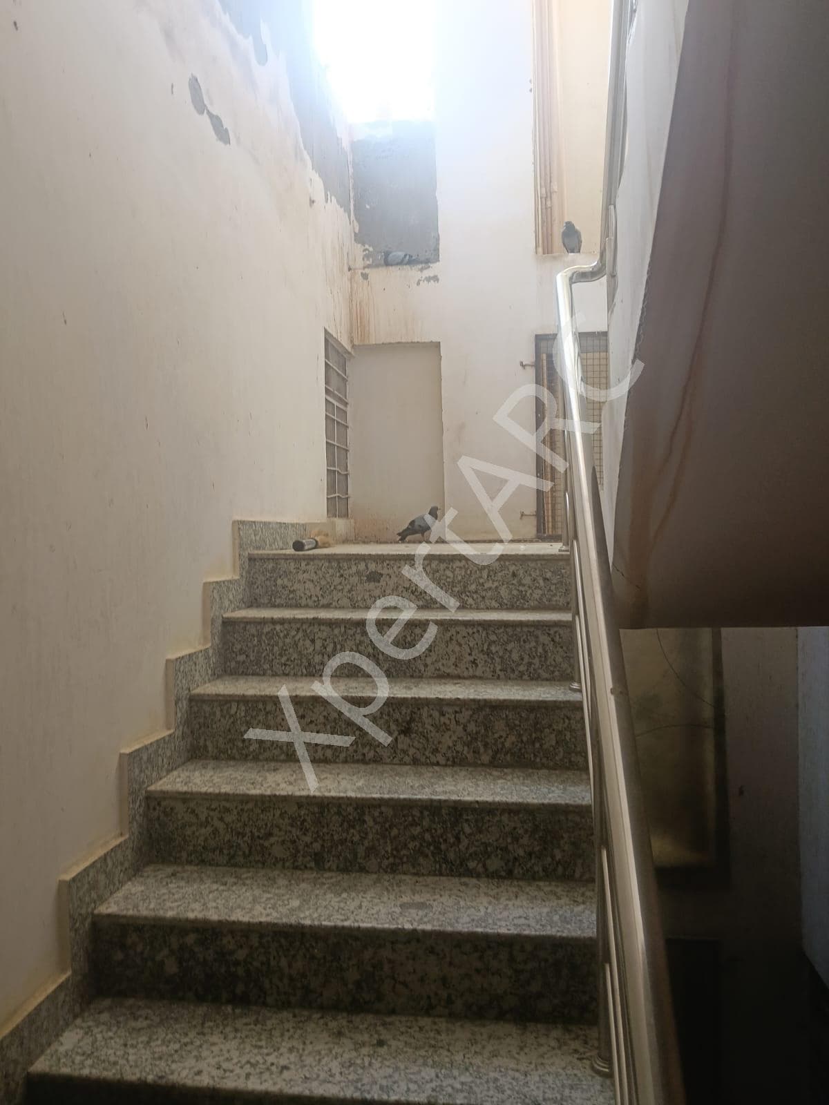 Property Photos 2