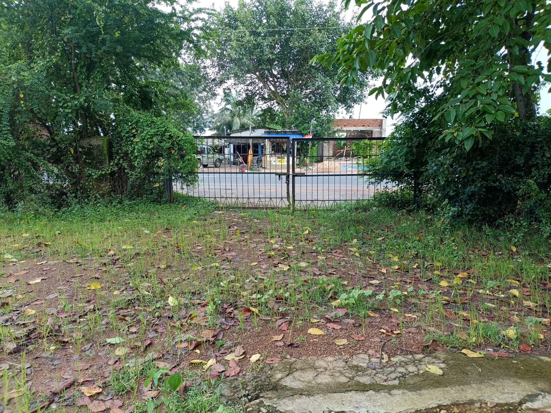 Property Photos 25