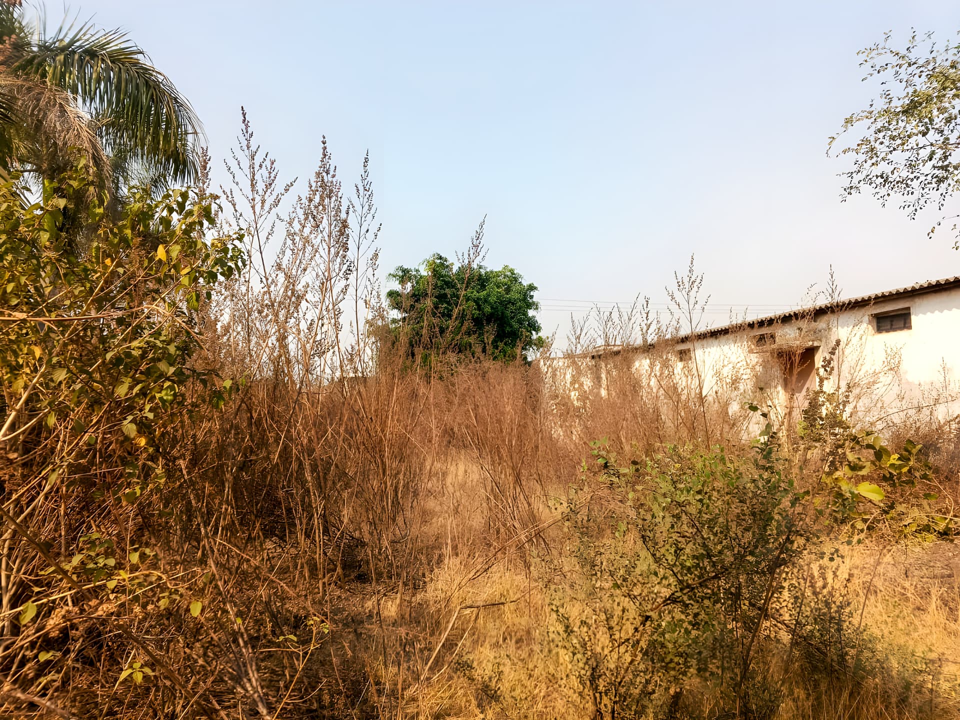 Property Photos 25