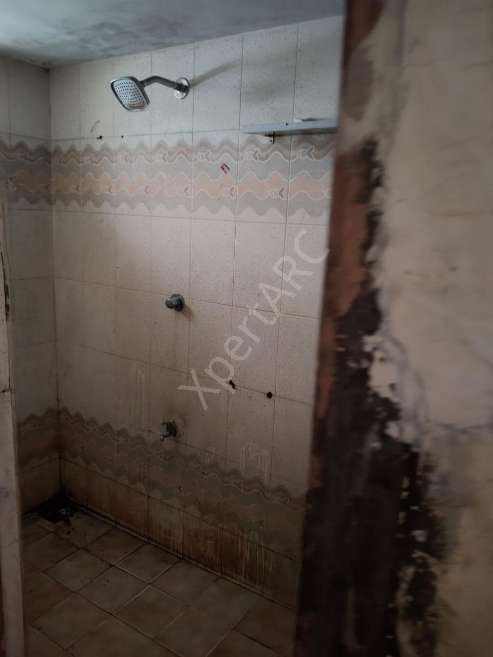 Property Photos 11