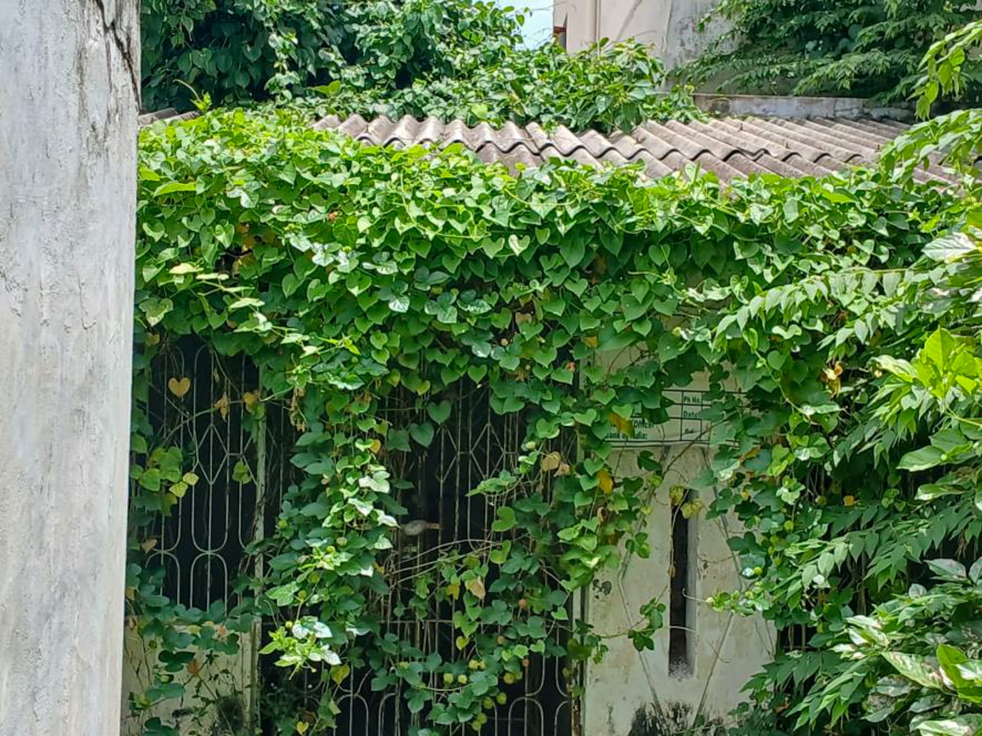 Property Photos 6