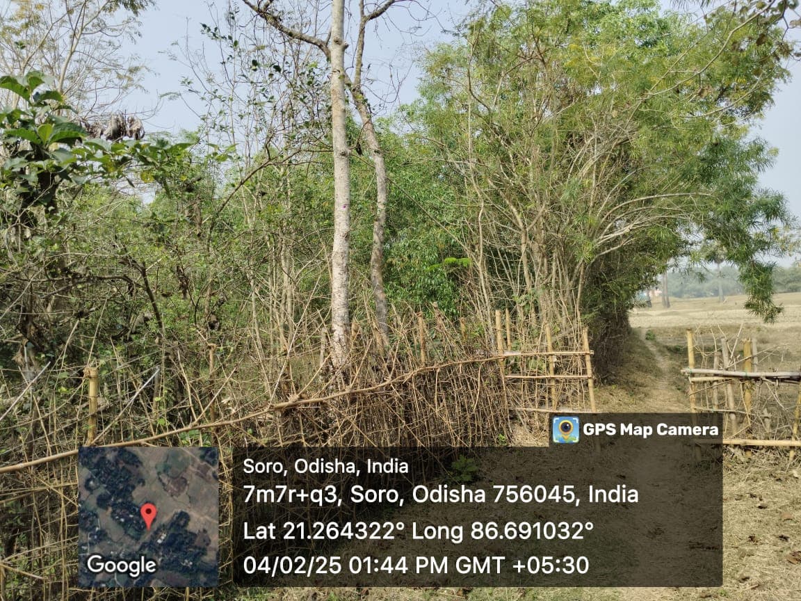 Property Photos 2