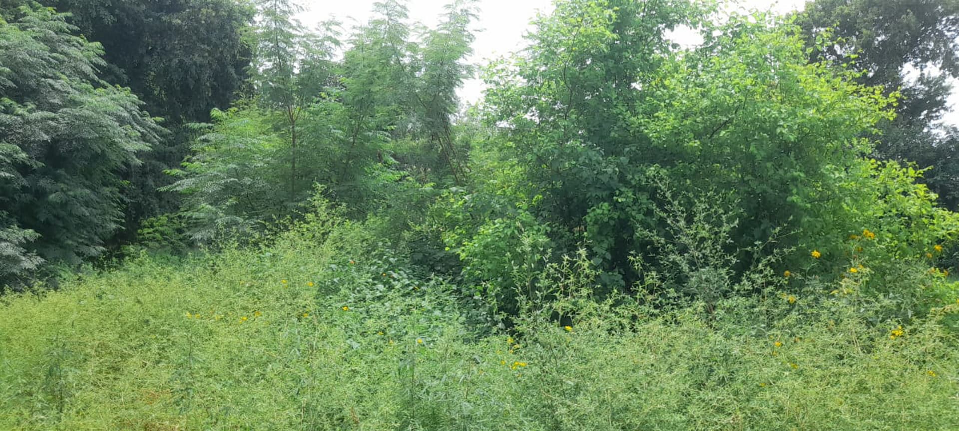 Property Photos 8