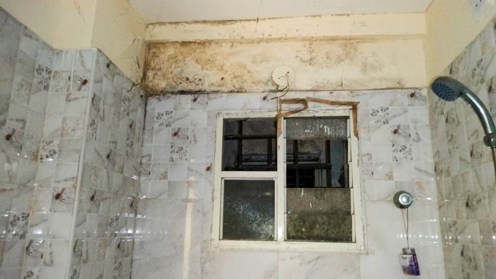 Property Photos 2