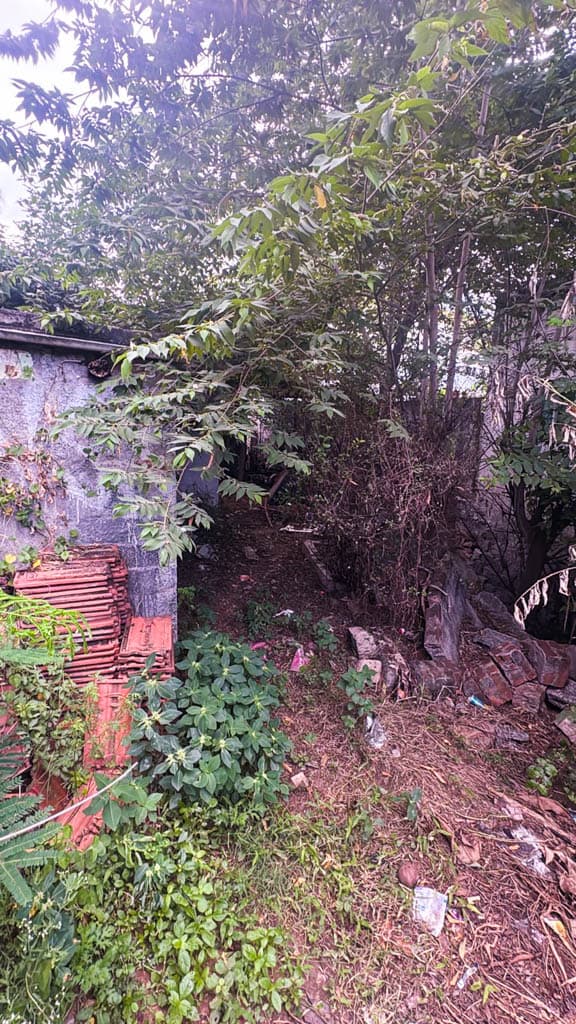 Property Photos 19