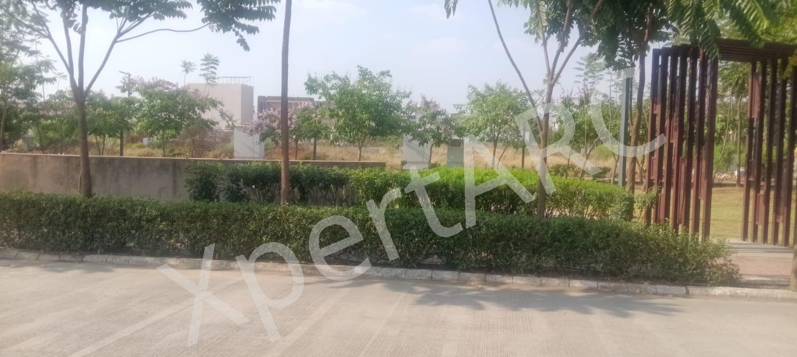Property Photos 8