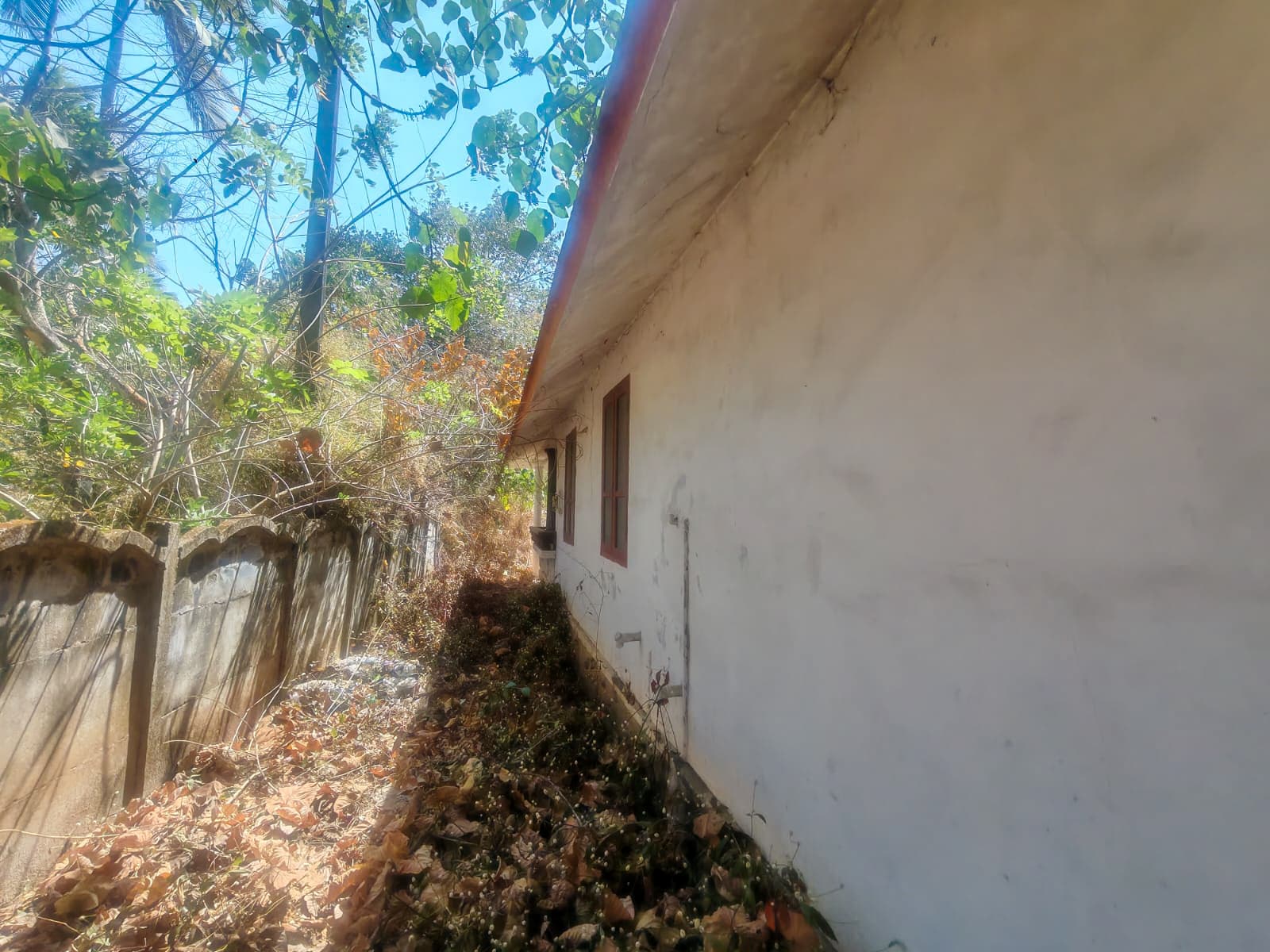 Property Photos 7