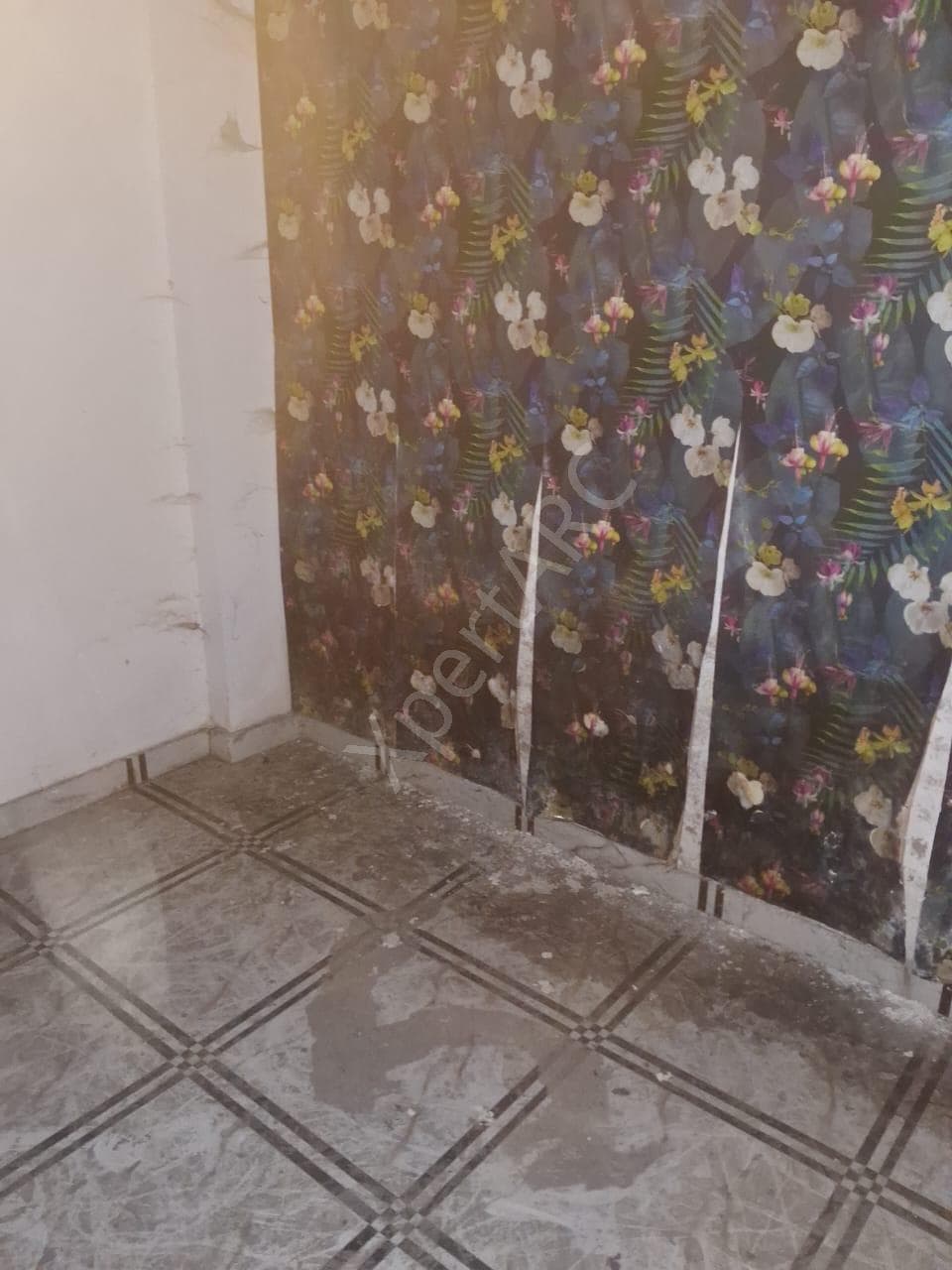 Property Photos 3