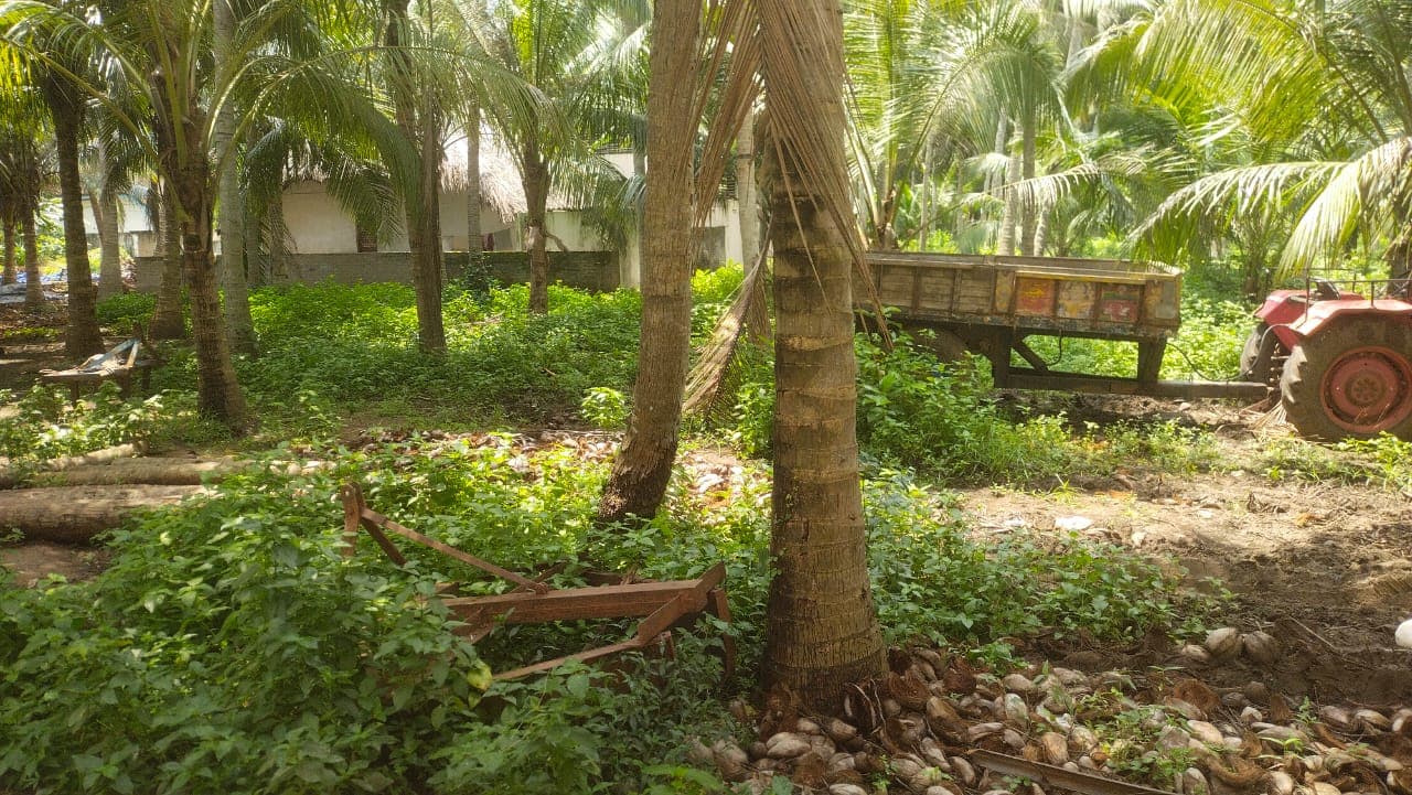 Property Photos 2