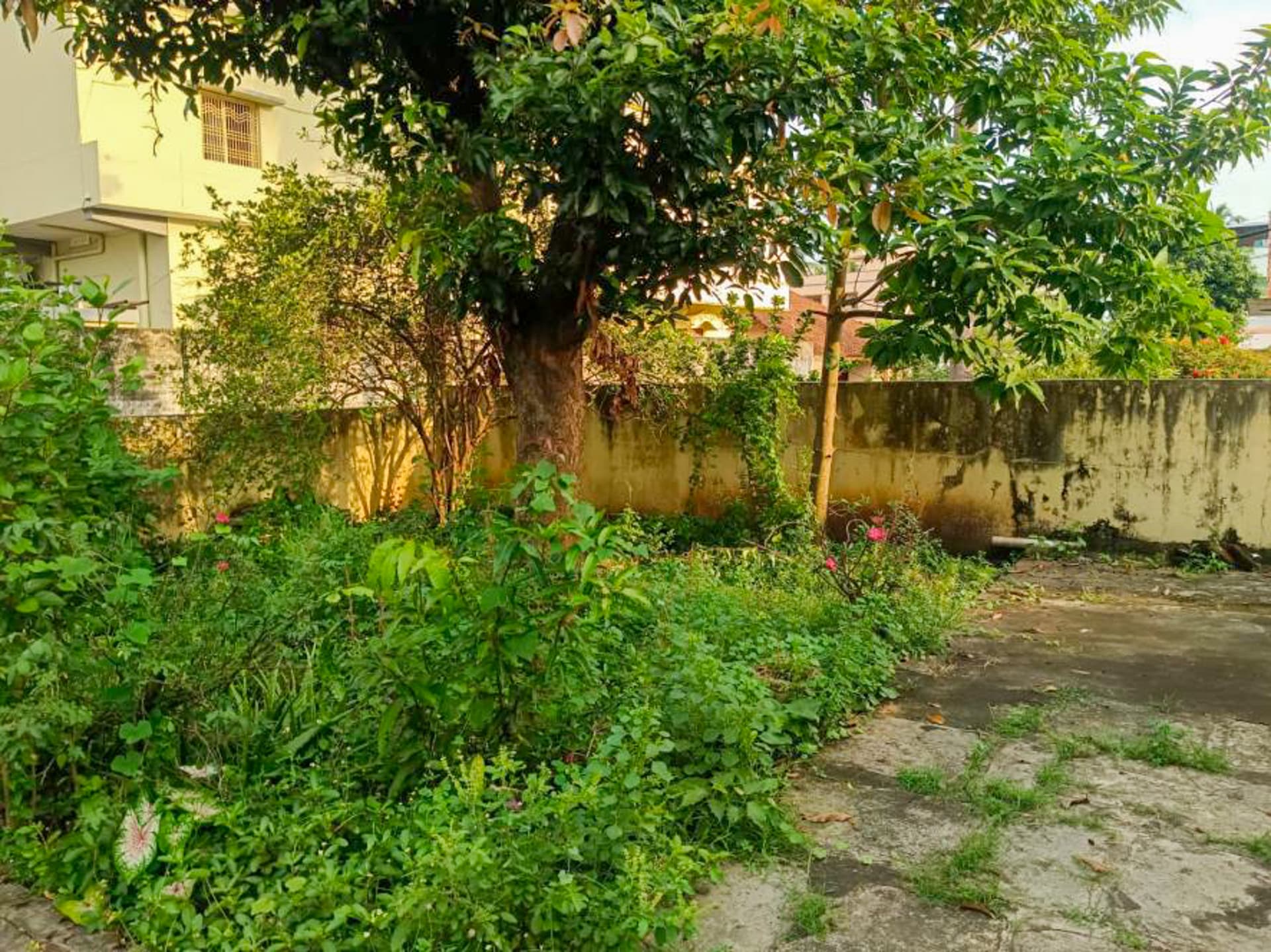 Property Photos 8