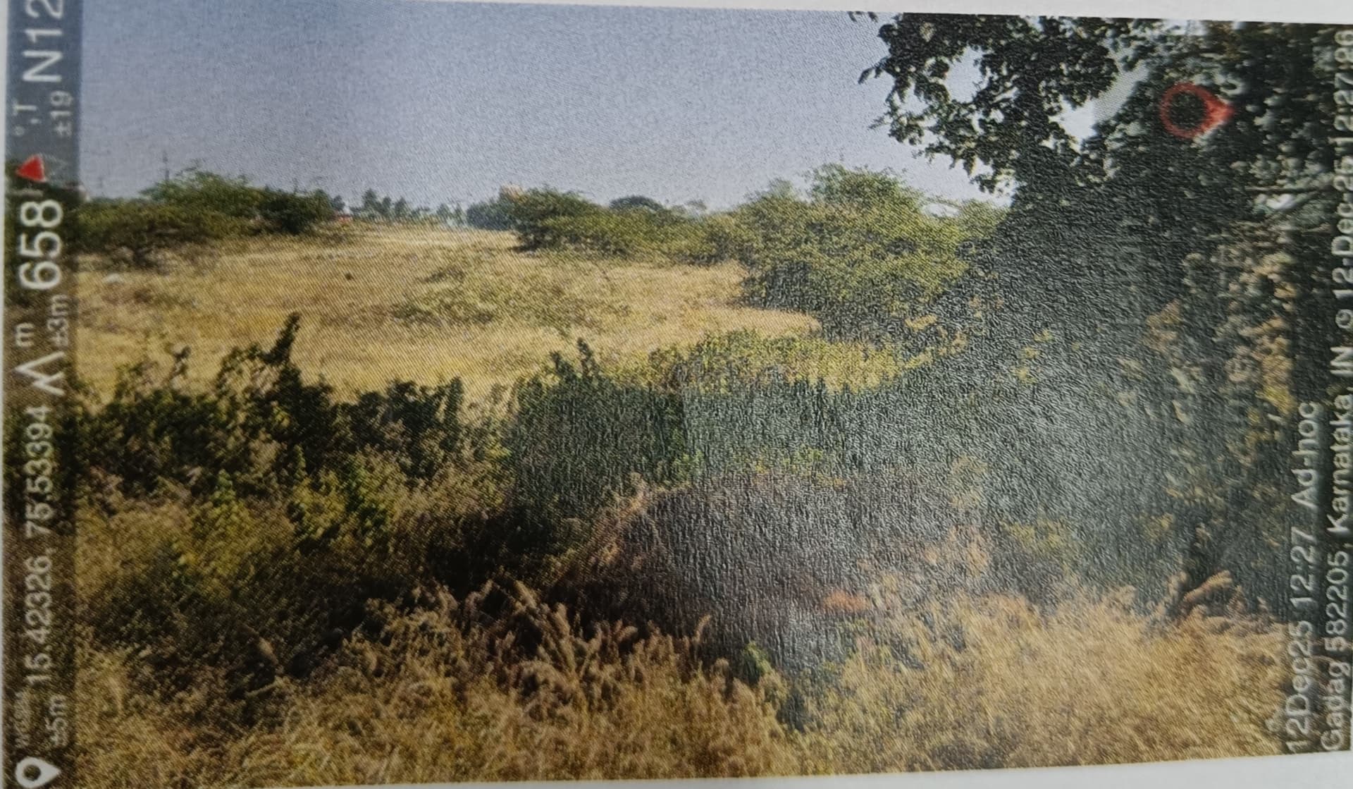 Property Photos 2