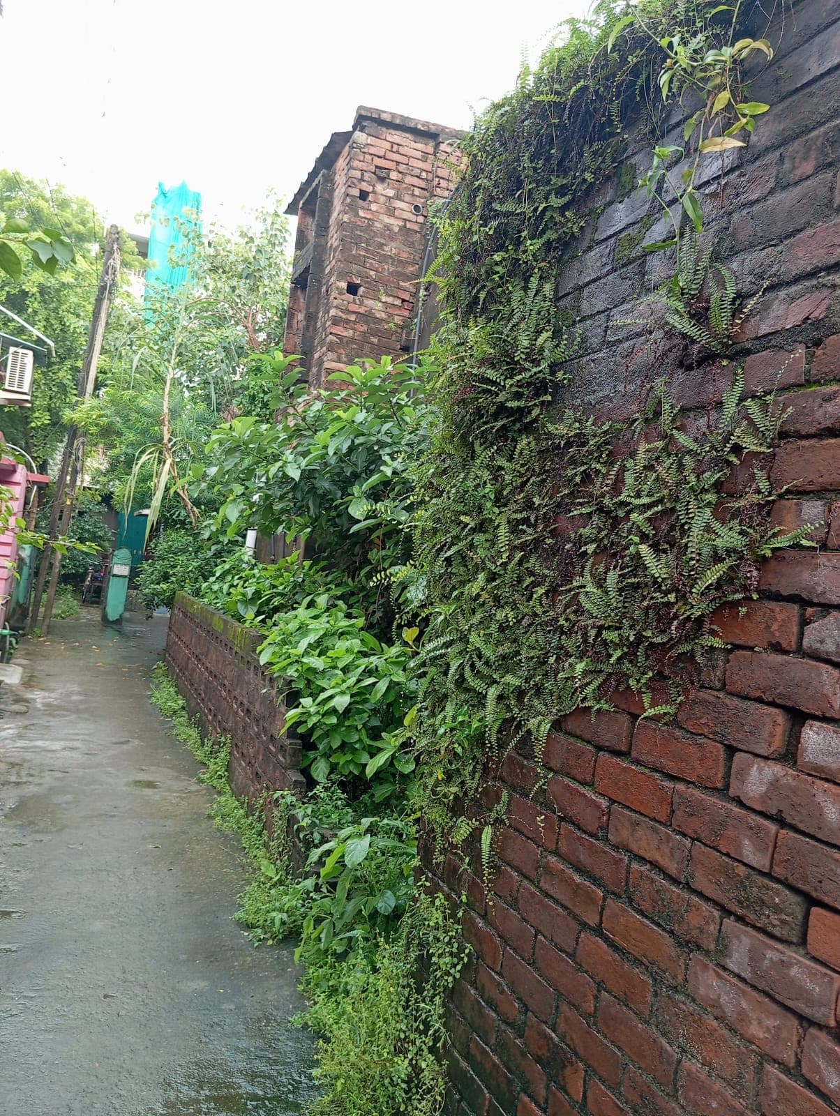 Property Photos 3