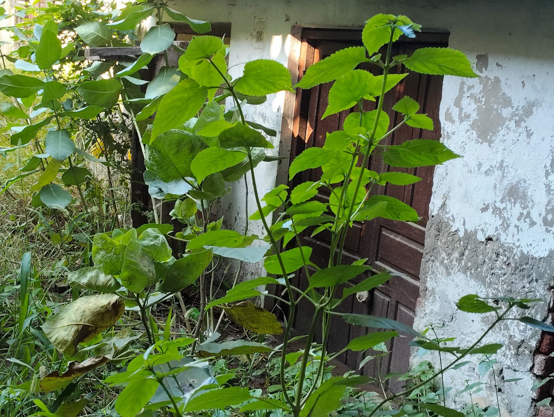 Property Photos 6