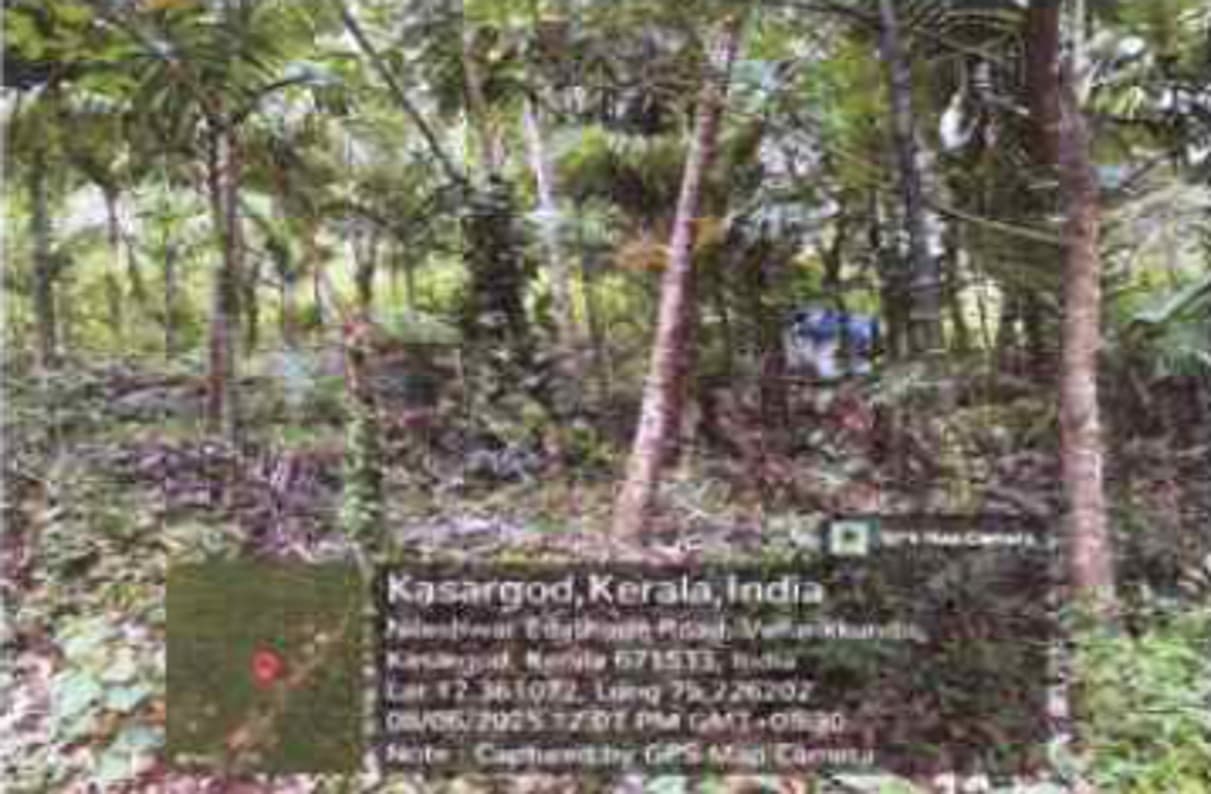 Property Photos 2