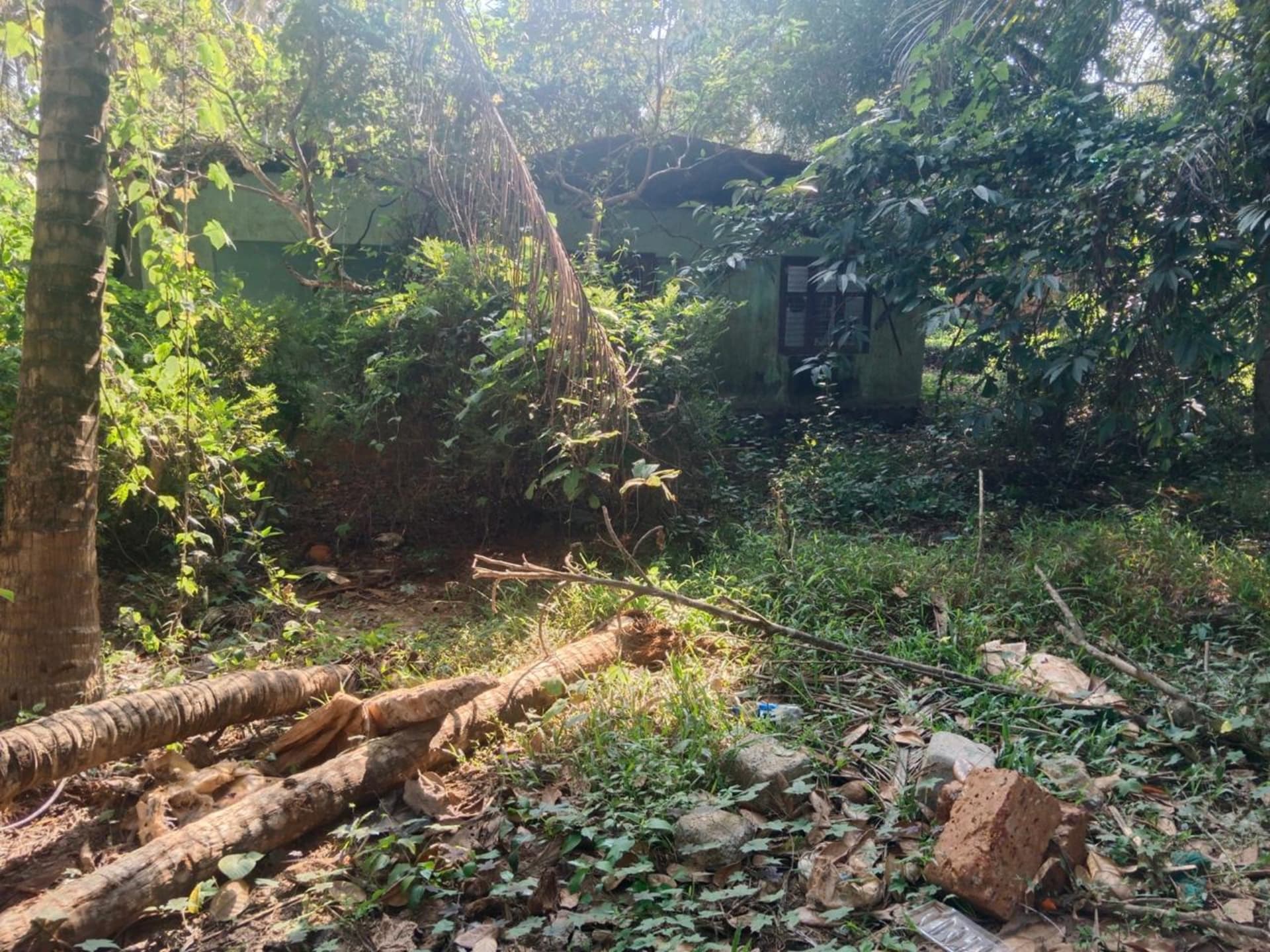 Property Photos 2