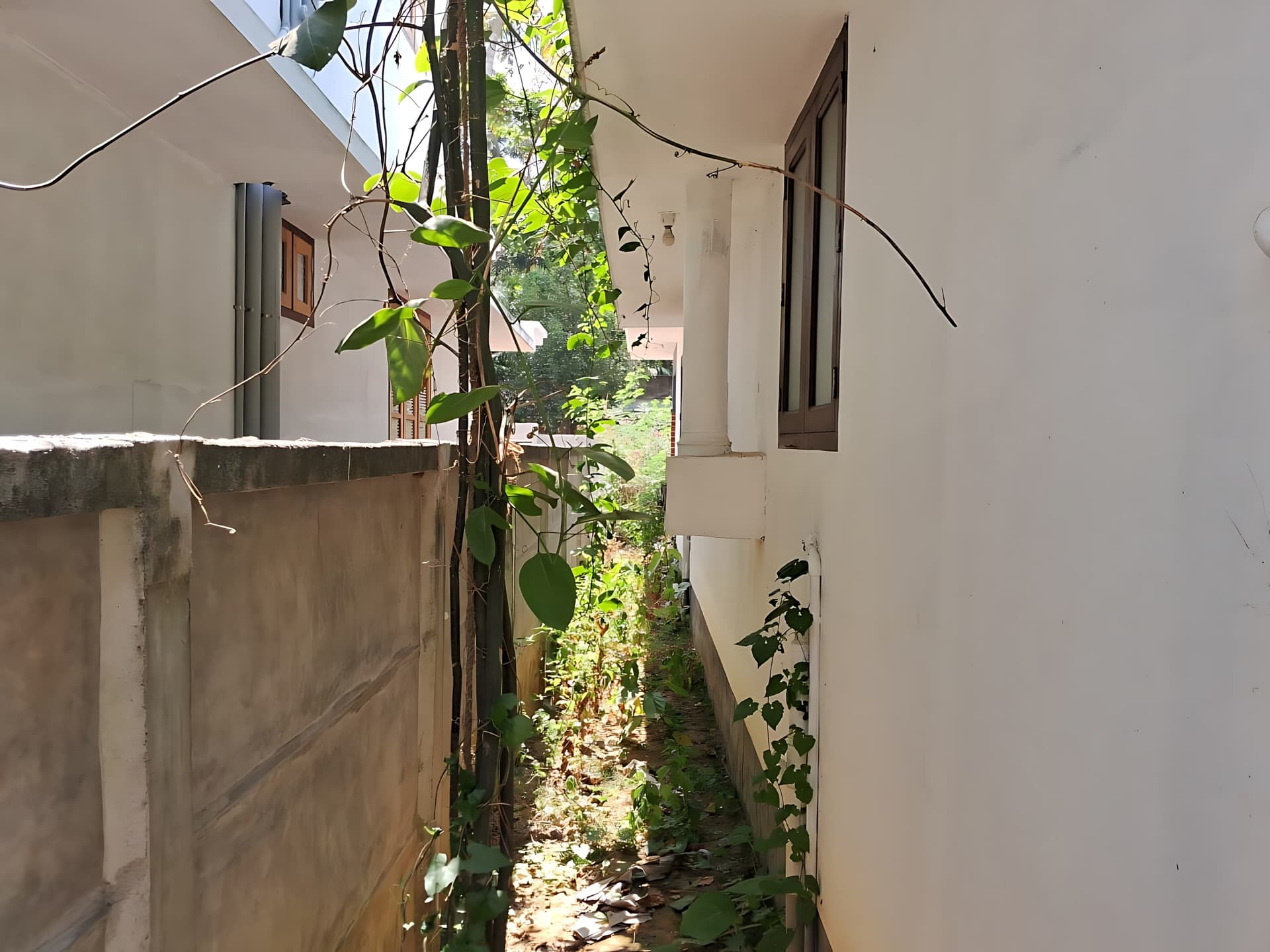 Property Photos 3