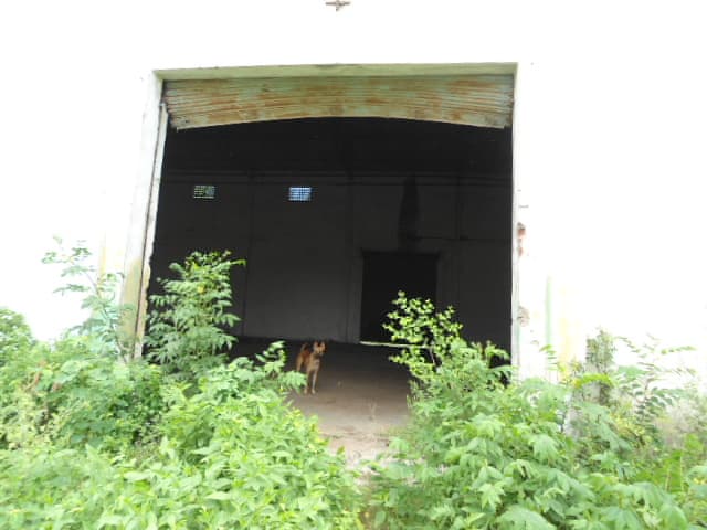 Property Photos 8