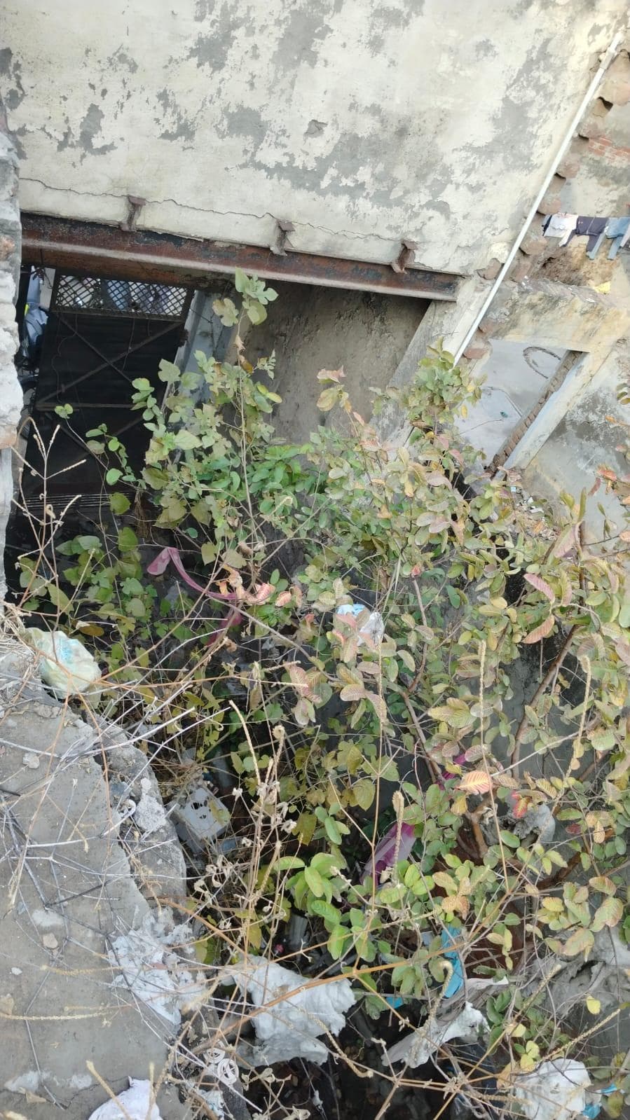 Property Photos 20