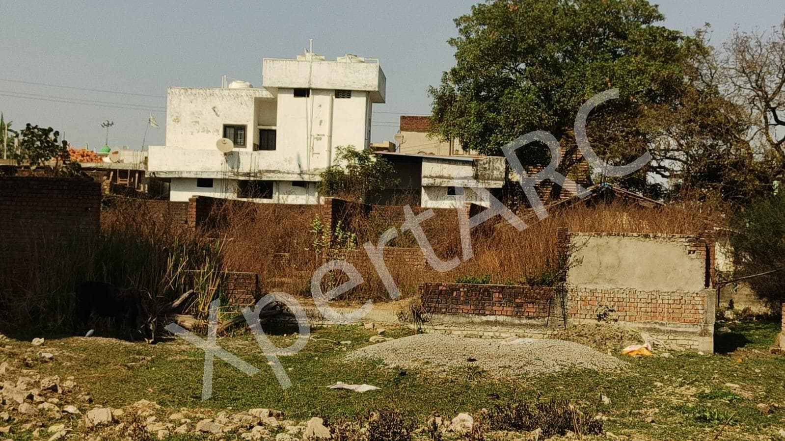 Property Photos 4