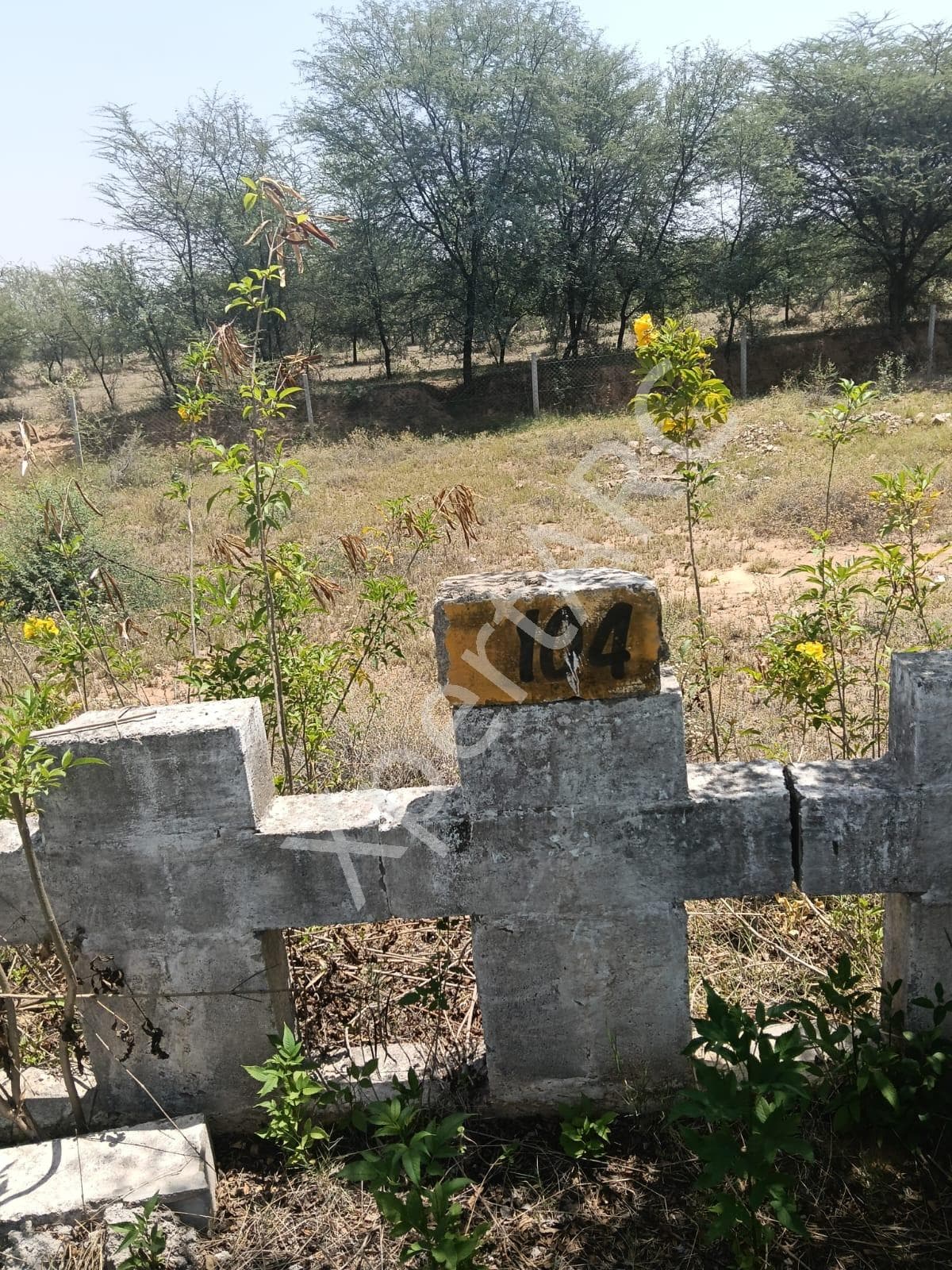 Property Photos 9
