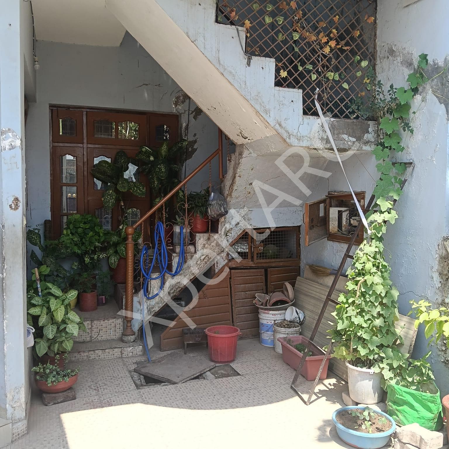 Property Photos 7