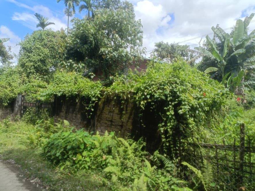 Property Photos 4