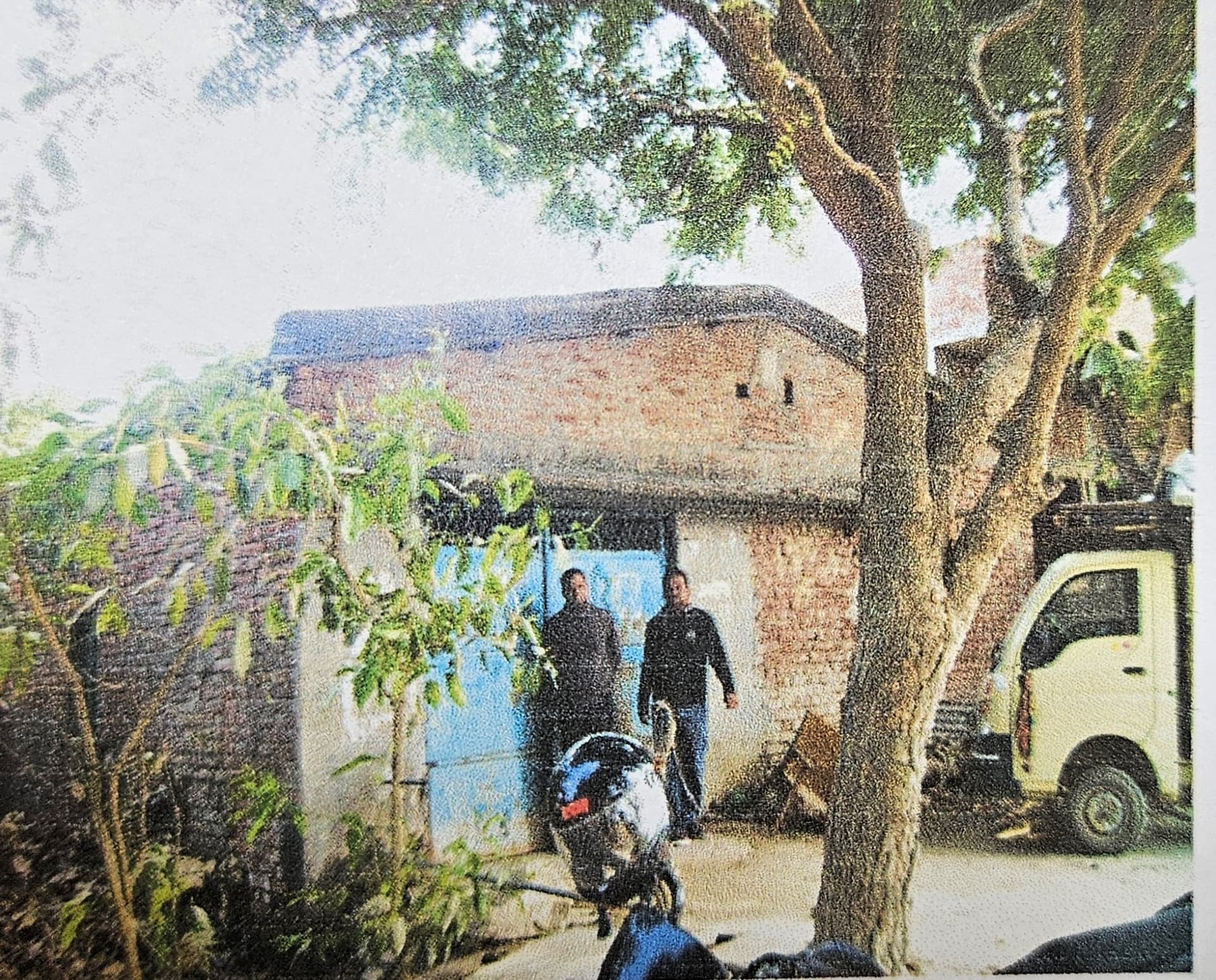 Property Photos 2