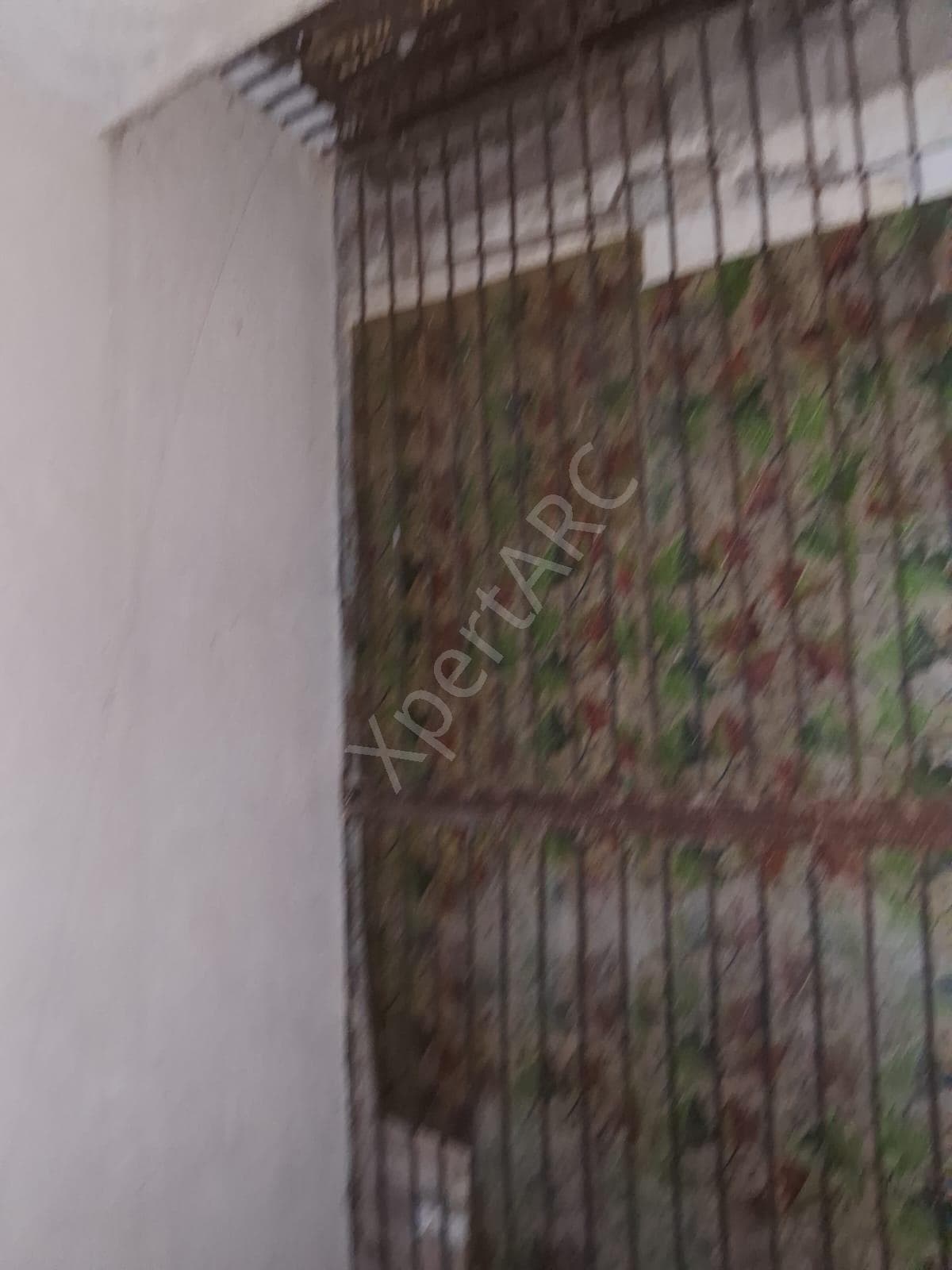 Property Photos 17