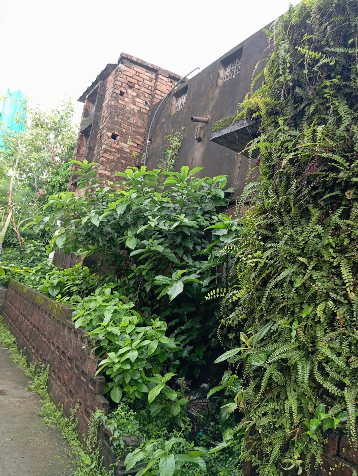 Property Photos 2