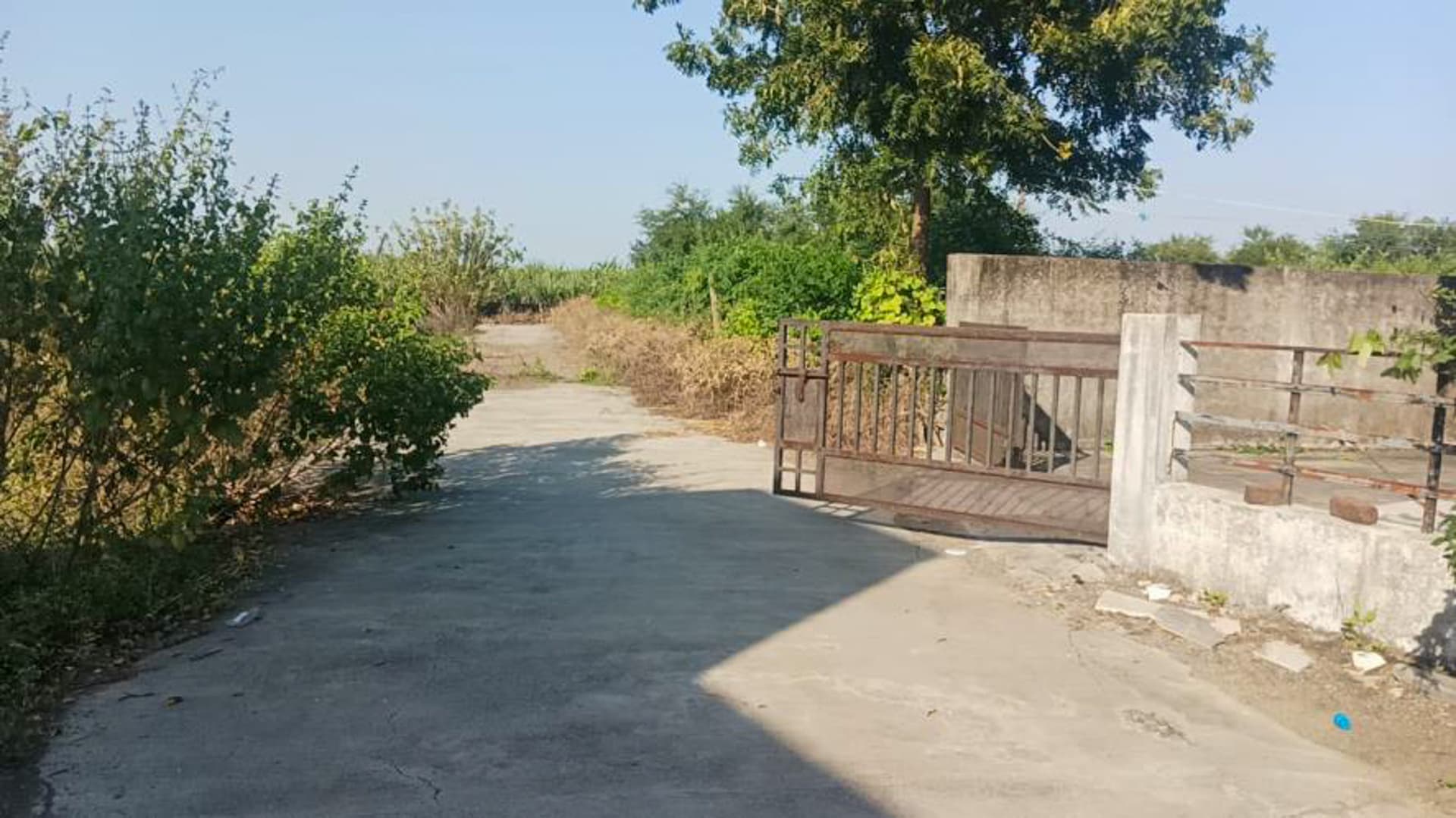 Property Photos 18