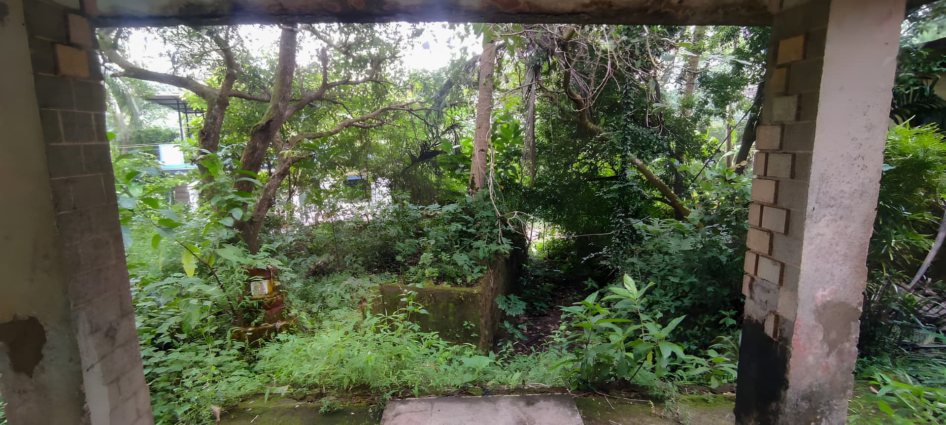 Property Photos 4